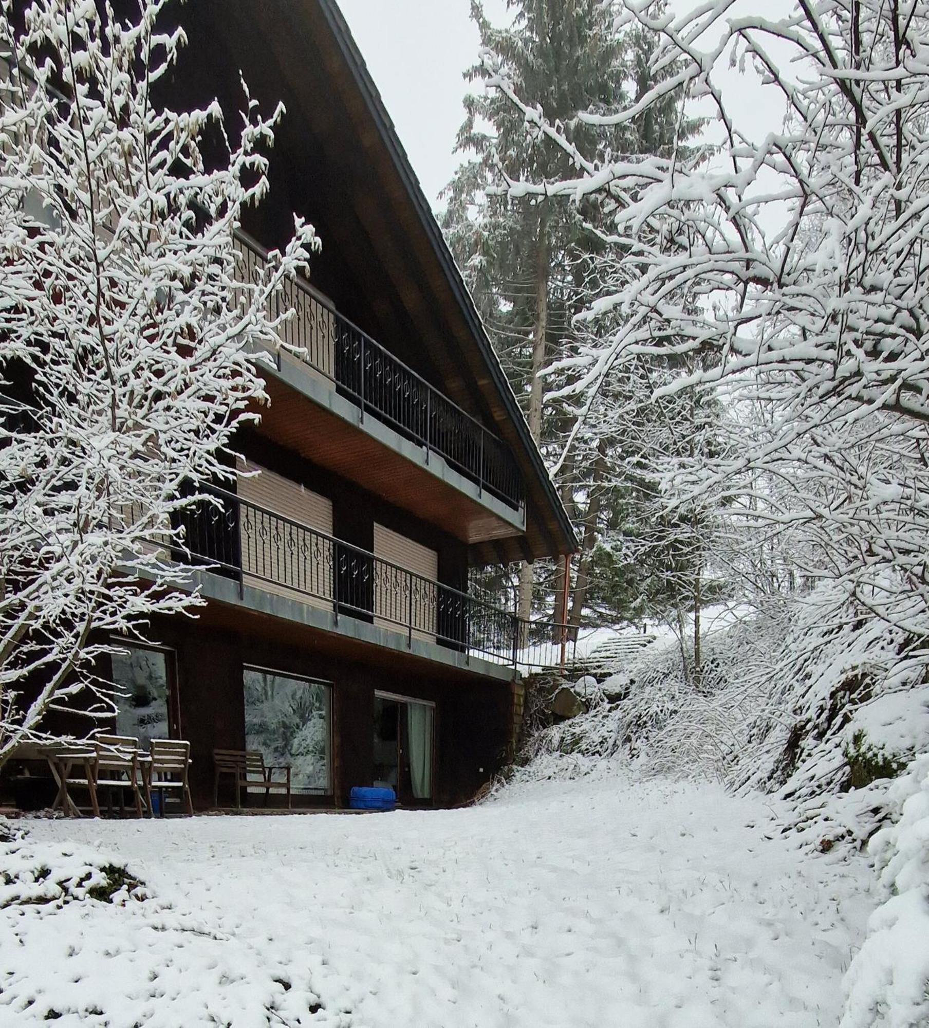 Ferienwohnung In Schoenwald Schwarzwald Exterior photo